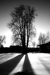 photo "*****"