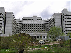 фото "А на камнях растут деревья..."