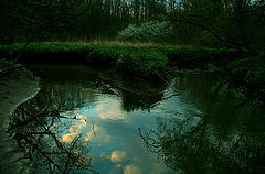photo "***"