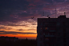 фото "*****"