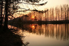 photo "***"