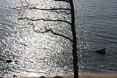 photo "***"