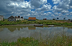photo "ESTUARY"