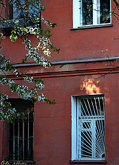 фото "Домик"