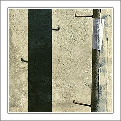 фото "ladder"