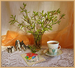 photo "***"