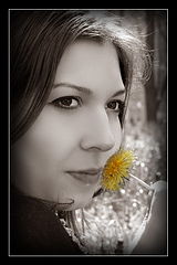 фото "..."