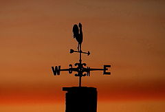 photo "The Wind Blows at Dusk"