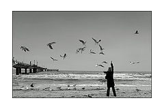 фото "baltic"