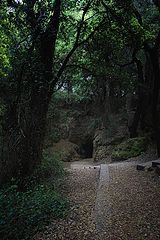 photo "***"
