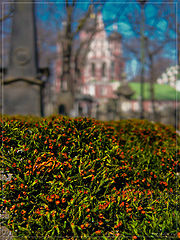photo "Spring at a cemetery #2"