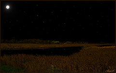 photo "The Night."