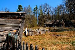 фото "без слов"