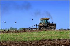 photo "Field works"