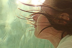 photo "***"