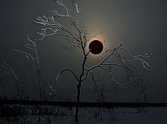 фото "мистическое затмение"