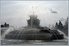 фото "Каменный цветок."