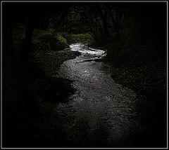 photo "***"