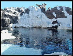 фото "Ice"