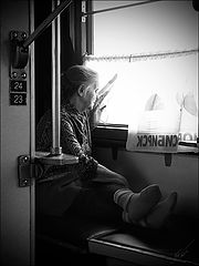 photo "24-23"