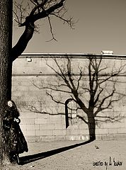 фото "***"