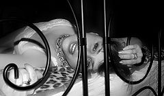 фото "..."