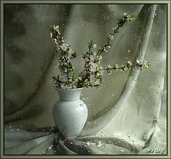 photo "***"