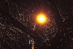 photo "***"