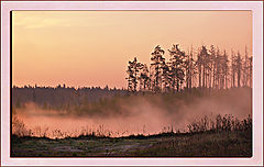 photo "***"
