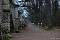 photo "***"