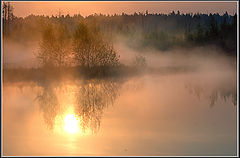 photo "***"