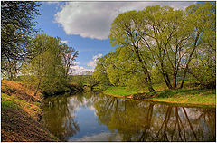фото "Яркая зелень мая"