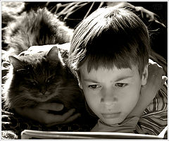 photo "***"