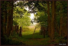 фото "early in the morning"