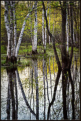 photo "***"