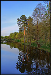 photo "***"