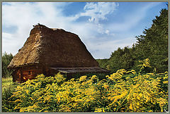 photo "***"