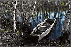 photo "***"