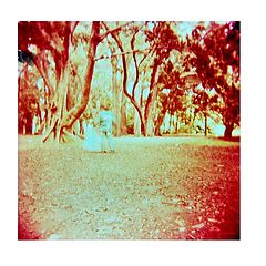 фото "Pic nic"