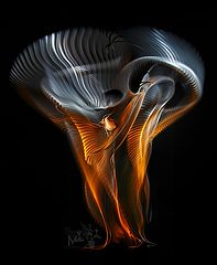 photo "Heart"