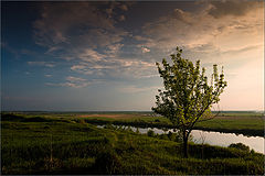 photo "***"
