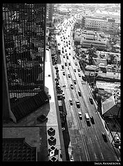 фото "Тихуана"