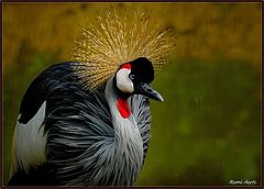 фото "golden crown"