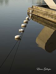 фото "***"