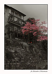 photo "*****"