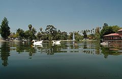 photo "A ducks eye view."