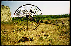 photo "***"