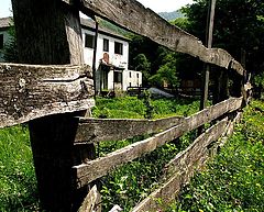 photo "***"