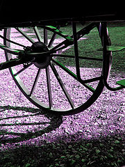 photo "Rotate and Repeat"