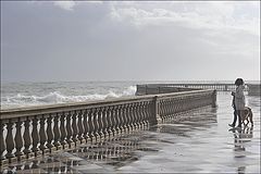 photo "Minute without rain"